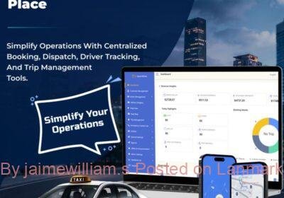 Taxi-Business-Software
