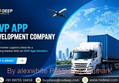 MVP-app-Development-Company-4