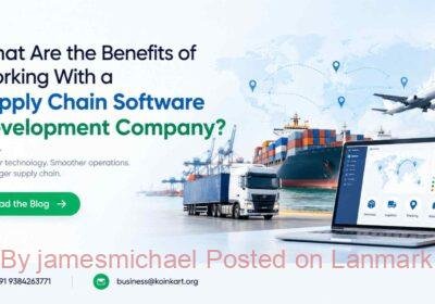 What-Are-the-Benefits-of-Working-With-a-Supply-Chain-Software-Development-Company
